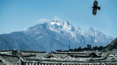 Private Yunnan Lijiang City Day Tour of Lijiang Old Town, Black Dragon Pool, Dongba Culture Museum and Lion Hill