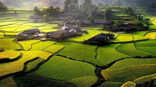 ทัวร์ส่วนตัว ท่องเที่ยวหมู่บ้านสือหยานปิง จางเจียเจี้ย พร้อมอาหารกลางวัน