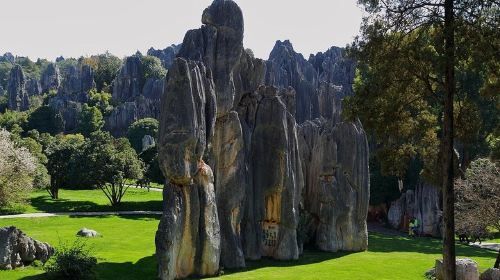 Romantic Tour in Kunming
