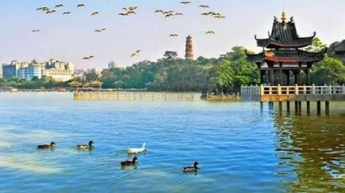 West Lake Scenery and Red Flower Reservoir Cycling Private Tour