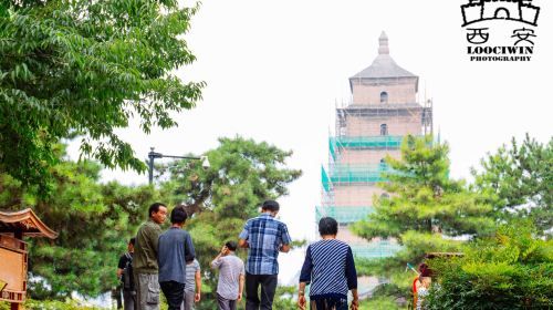 ทัวร์ส่วนตัว 1 วัน สำรวจนักรบดินเผาและเจดีย์ห่านป่าใหญ่ ที่ซีอาน