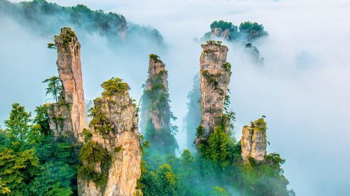 Zhangjiajie Tour Guide