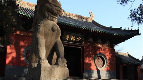Zhengzhou English speaking Tour Guide