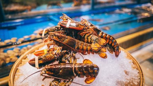 Free $50 NY8 Coupon: Macau Grand Lisboa Palace Resort Meal Voucher (Including The Grand Buffet, Wulao, Eight Treasures, GLP Cafe, Chalou, Hua Ting)