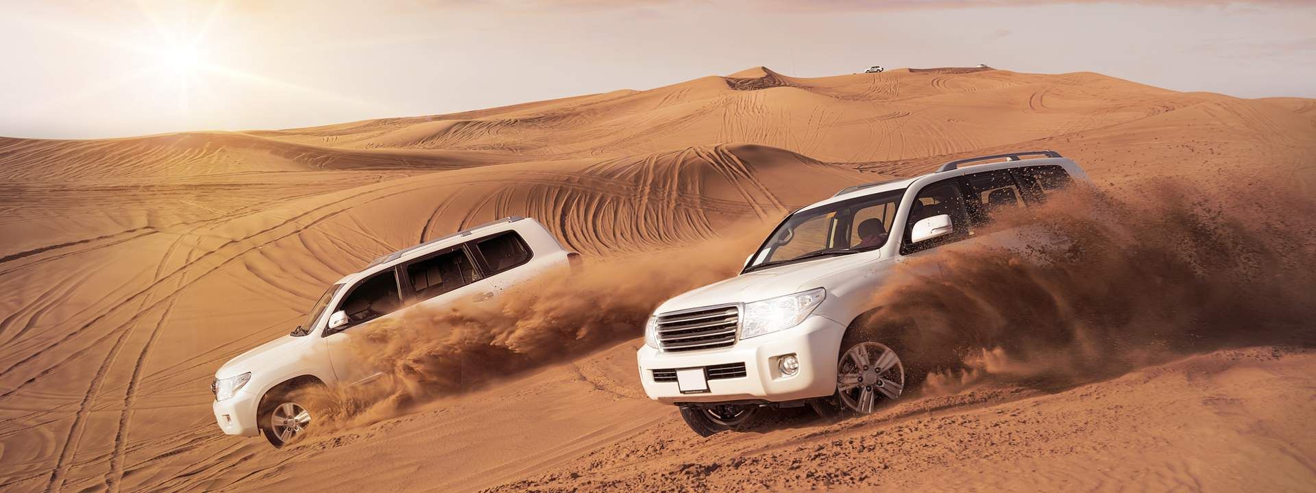 Abu Dhabi Morning Desert Safari Tour