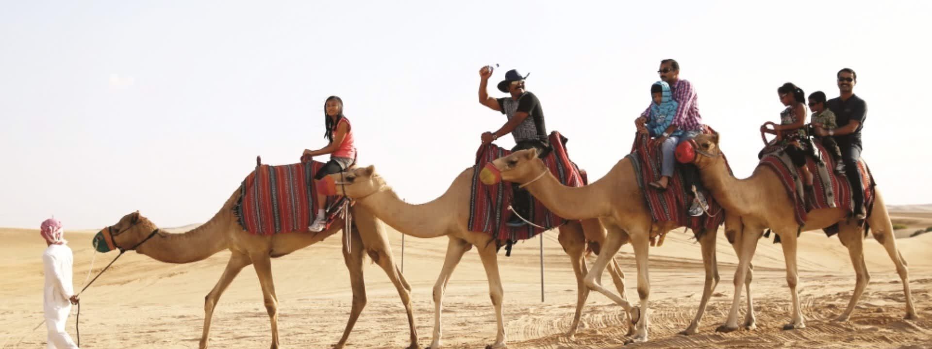 Camel Trekking Experience in Abu Dhabi