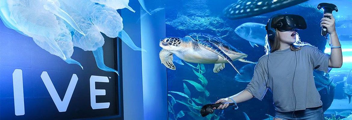 Dubai Aquarium And Underwater Zoo