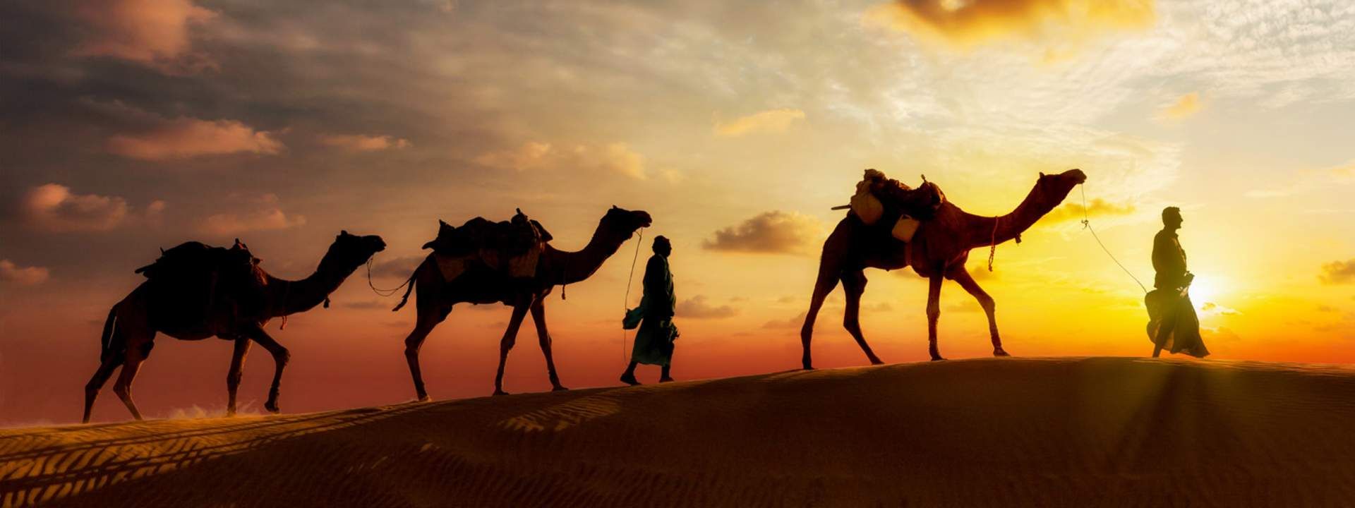 Dubai Desert Sunset Camel Trekking with BBQ Dinner and Belly Dancing Show