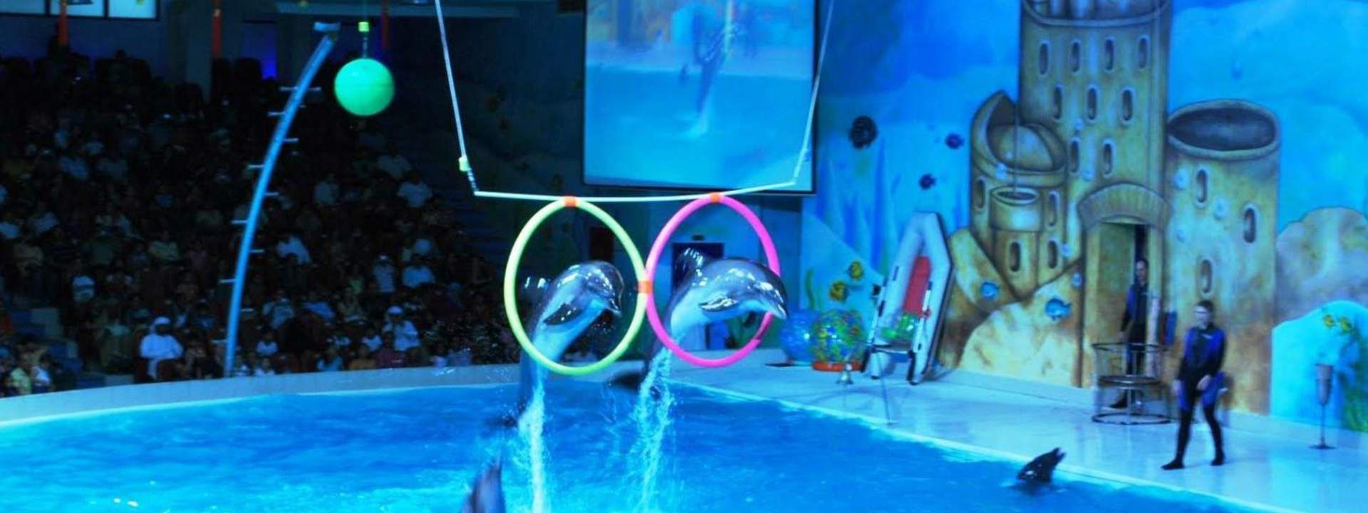 Dubai Dolphinarium