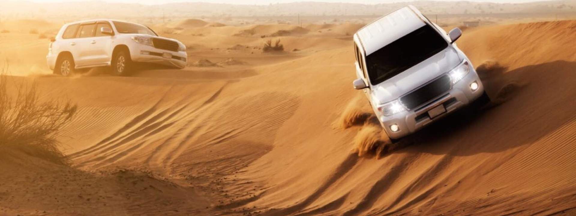Evening Desert Safari Tour with BBQ Dinner: Dune Bashing, Camel Riding, and More