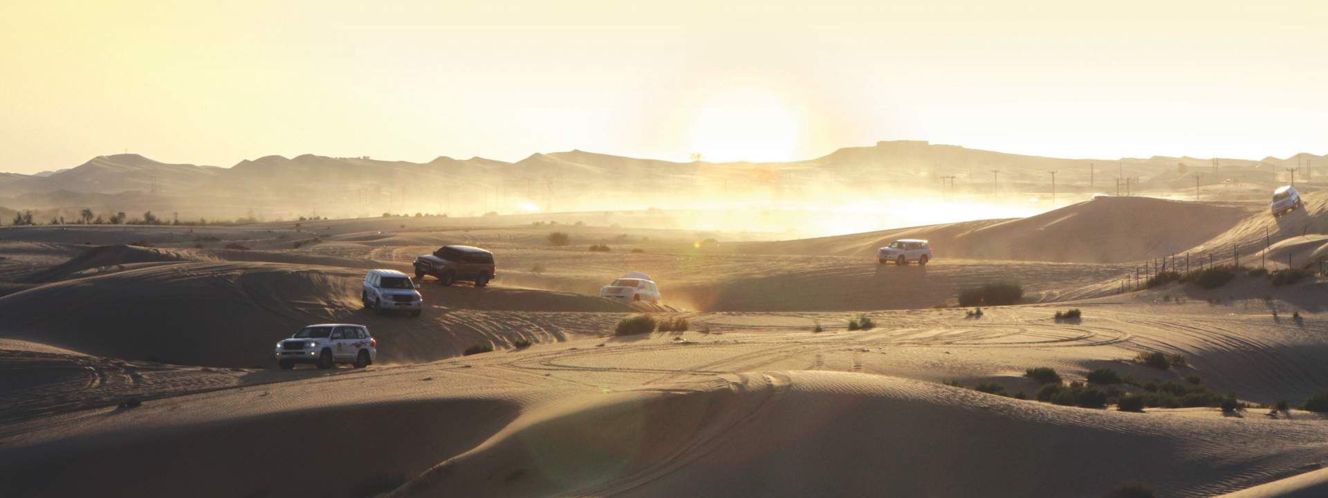 Morning Desert Safari from Abu Dhabi