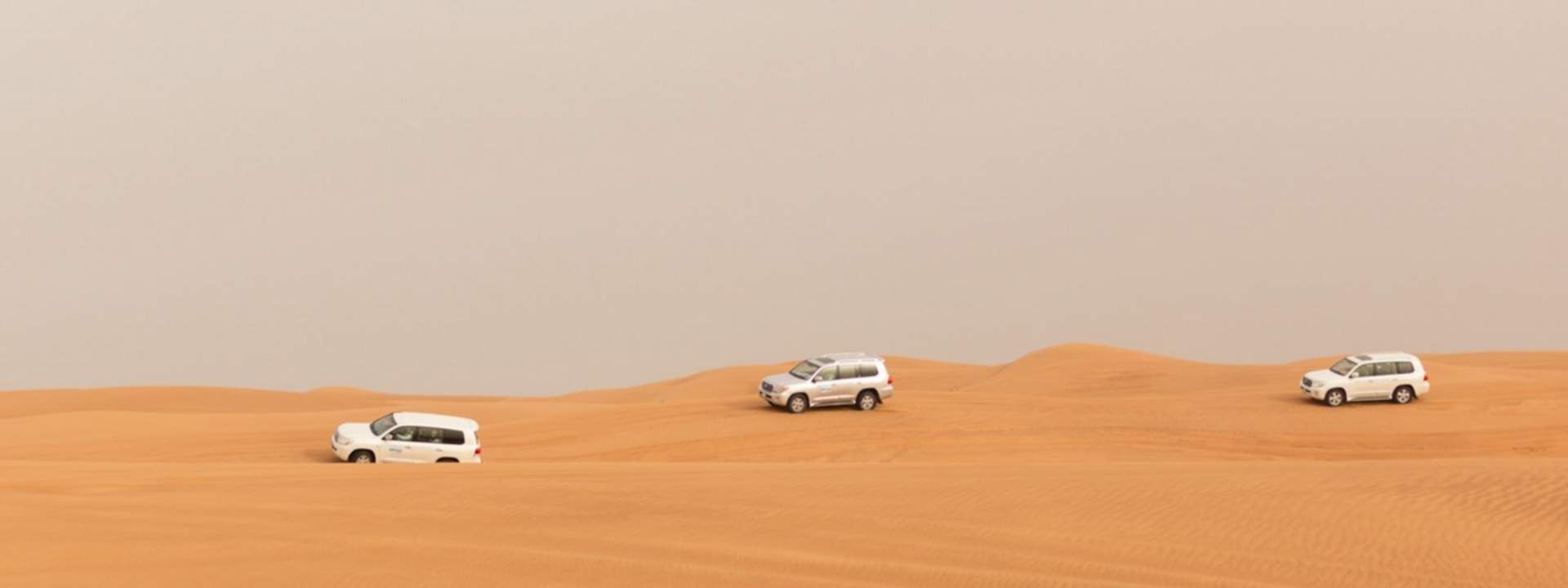 Morning Desert Safari Tour from Dubai