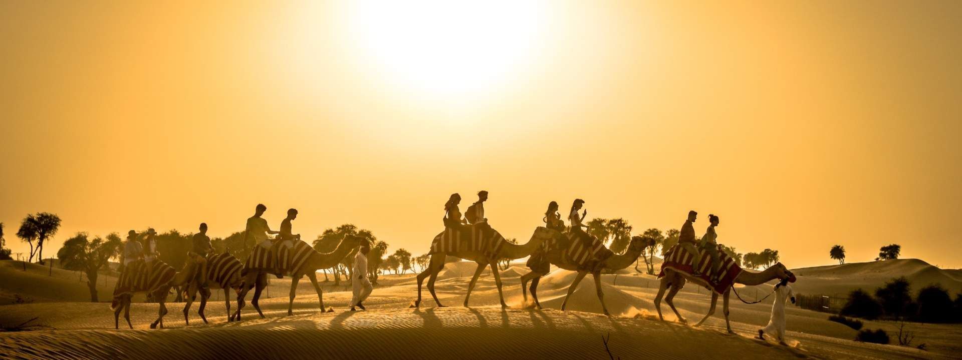 Sunset Camel Safari Experience