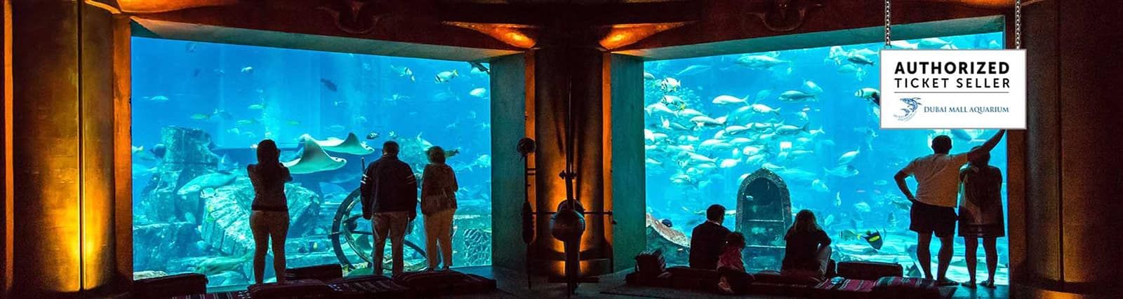 The Lost Chambers Aquarium
