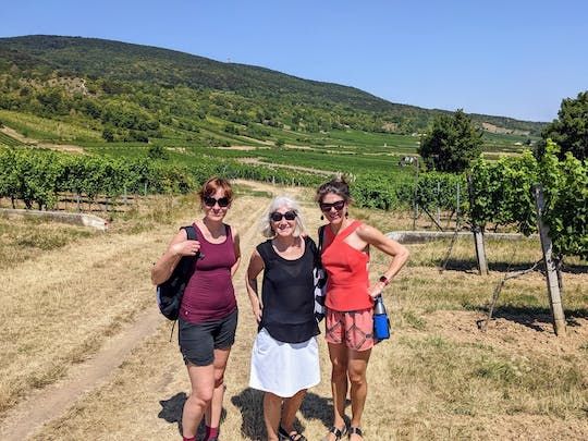 Private Vienna woods wine tour