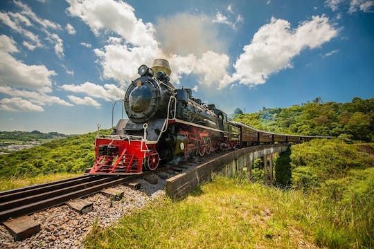Wine tour  with train and Italian Epic Park