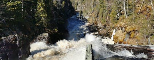 Day-tour hiking to Auttiköngäs Falls