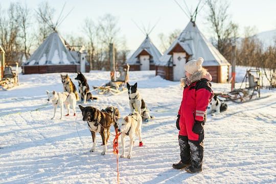 Family day with snowmobiles, arctic animals and Santa Village