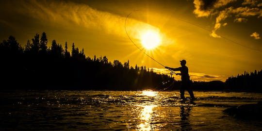 Full-day fishing adventure: learn how to fish like a Fin