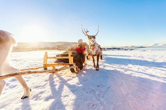 Snowmobile safari to reindeer farm