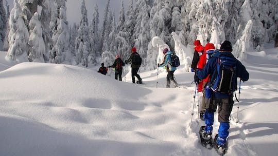 Snowshoeing adventure in Lapland