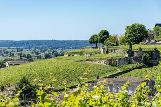 Afternoon wine tour to Saint-Emilion
