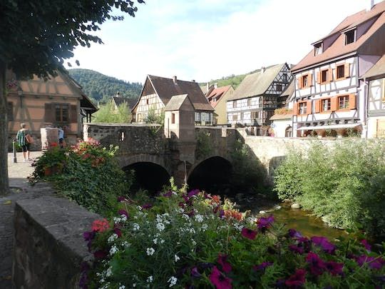 Alsace villages full day tour with wine tasting and workshop