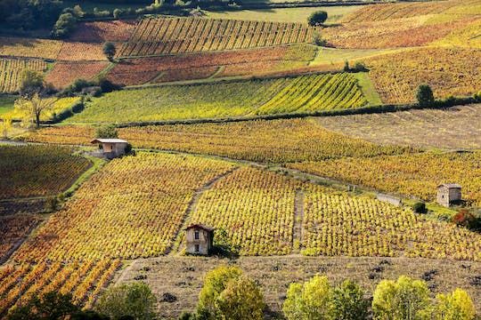 Beaujolais private wine tour