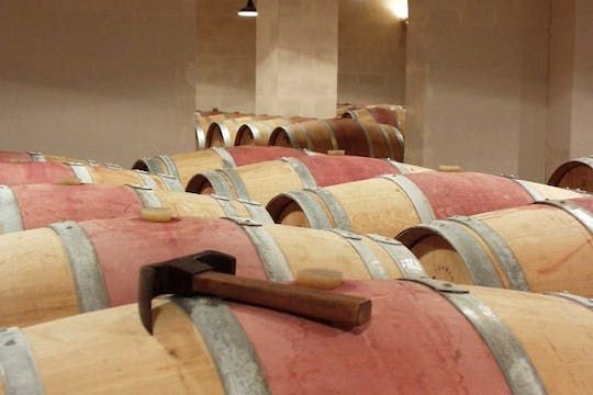 Chateaux and Terroirs guided tour on the Bordeaux wine roads