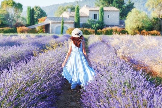 Full-day tour of Provençal Markets and Villages in Lubéron