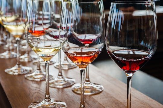 Guided tour of the Maison des Graves & tasting with tapas