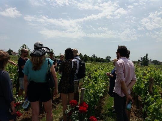Half-day trip to Saint-Emilion wine estates from Bordeaux