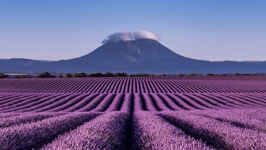 Lavender tour to Valensole from Marseille