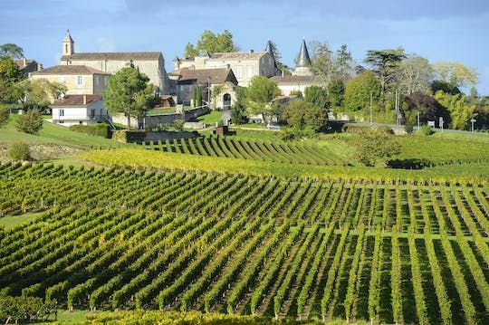 Morning wine tour to Saint-Emilion