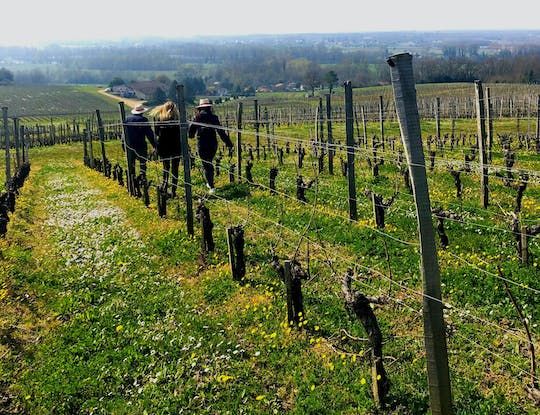 Nature tour with wine tasting at Château Réaut