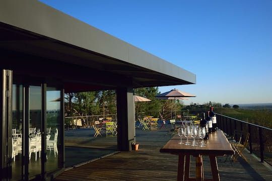 Private wine tour tasting at Château Réaut