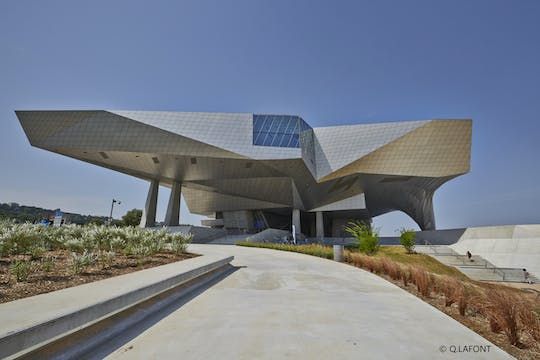 Skip-the-line ticket for the Musée des Confluences