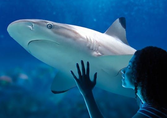Tickets for the aquarium SEA LIFE Paris Val d'Europe