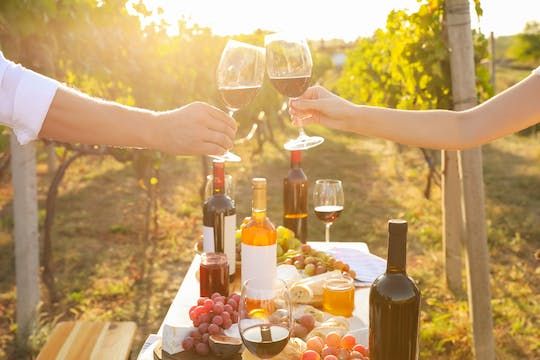 Wine tasting & picnic at the Maison de Graves