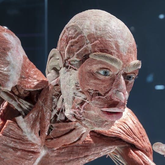 BODY WORLDS Berlin entrance tickets