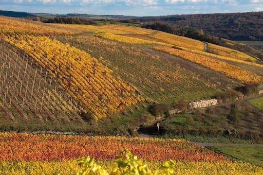 Hiking tour along the Romantic Road in Röttingen and Weikersheim