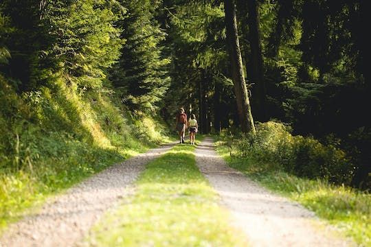 Panorama private hike through the Black Forest with a Local