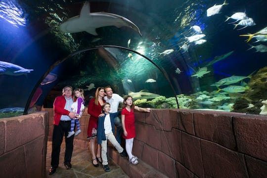 บัตรเข้าชมพิพิธภัณฑ์สัตว์น้ำซีไลฟ์ ฮันโนเวอร์ (SEA LIFE Hannover)