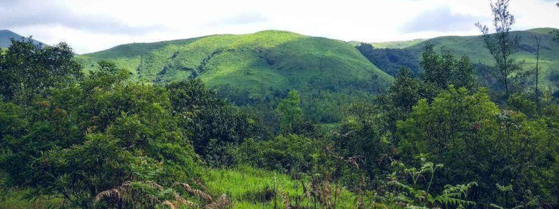 3D2N Kyatanmakki Hills and Kurinjal Peak Hiking Experience from Bangalore