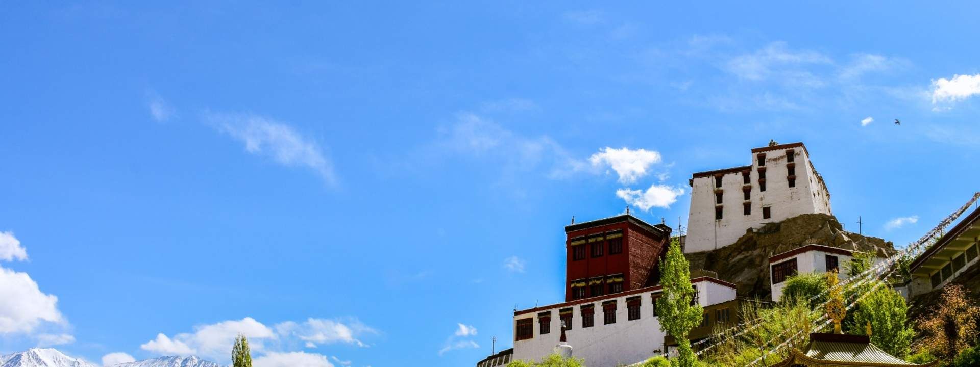 5D4N Leh Tour by Tripver
