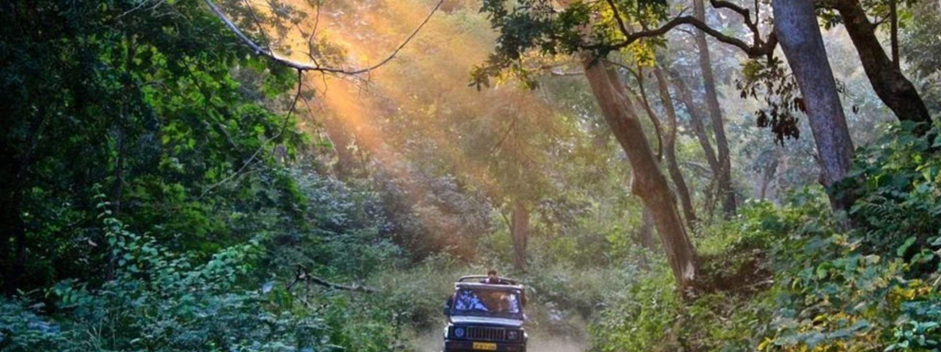 7D6N Gujarat Sightseeing Trip from Ahmedabad
