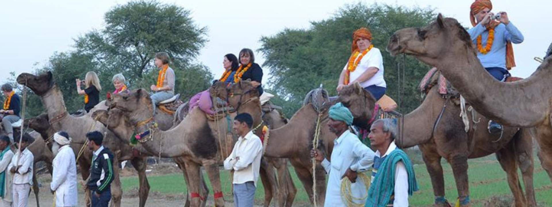 Abhaneri Private Day Trip from Jaipur