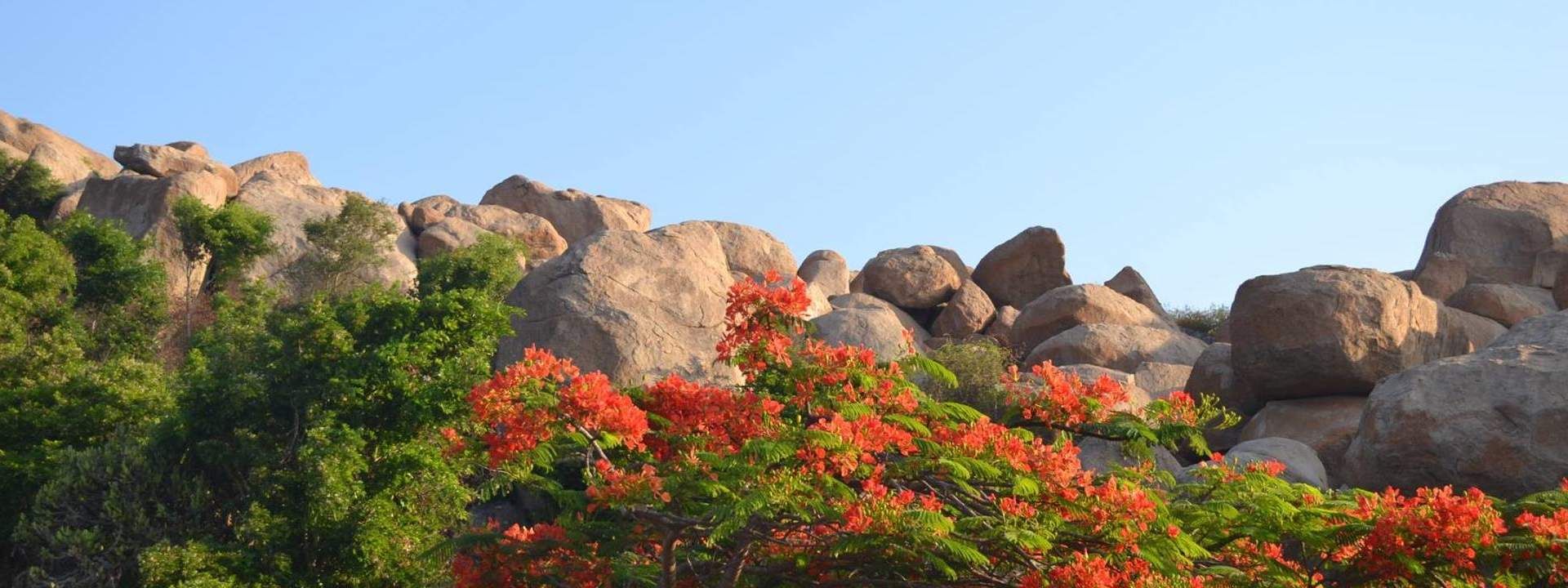 Anthargange Sunrise Trek with Cave Exploration from Bangalore