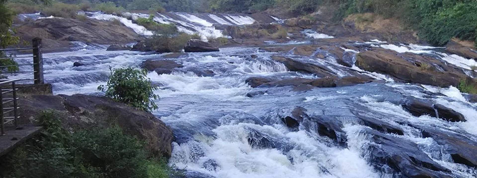 Athirappally and Vazhachal Waterfalls Tour from Cochin