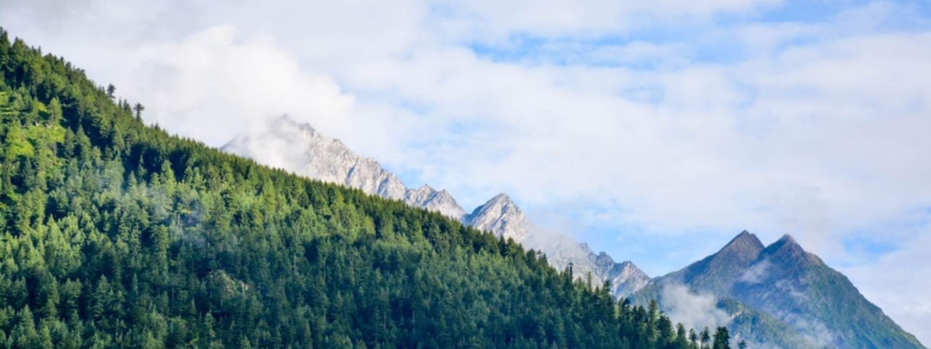 Black Forest Safari Experience In Manali
